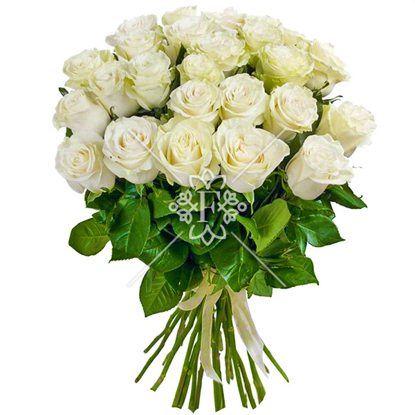 Букет из 25 белых роз Букет из 25 белых роз